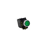 Botão de Pressão Luminoso Verde 24V/1NA-A5-10D-24