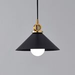 Candeeiro de teto preto E27 D250*H200-Avida