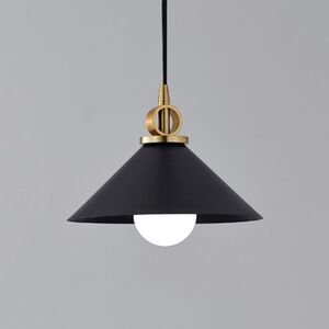 Candeeiro de teto preto E27 D250*H200-Avida