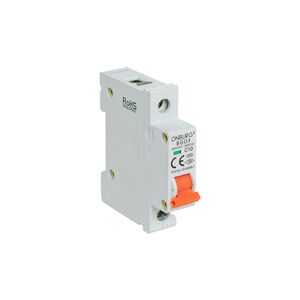 DIGINTOR ONBURG  1P 40A