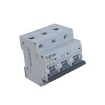 DISJUNTOR 3P 80A-C 10kA-SIGMA