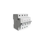 DISJUNTOR 4P 63A-C-10kA-SIGMA