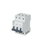 DISJUNTOR TRIPOLAR  3PX40A 3KA-VIKO