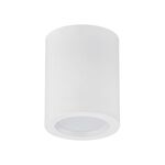 DOWNLIGHT SALIENTE REDONDO 10W 4200K BR ALMIRA