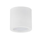 DOWNLIGHT SALIENTE REDONDO 15W 4200K BR ALMIRA