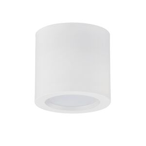DOWNLIGHT SALIENTE REDONDO 15W 4200K BR ALMIRA