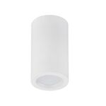 DOWNLIGHT SALIENTE REDONDO 5W 4200K BR ALMIRA