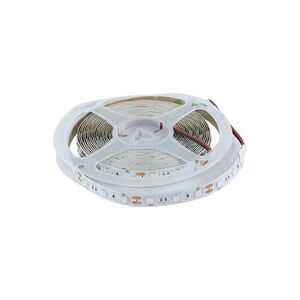 Fita Led 12V DC 4040 14.4W 5m 9.5M Remoto-LEDStrip