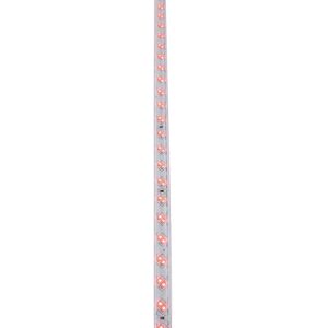 FITA LED DUPLO-5730 120x12mm IP65 100m Vermelho-220V-Strip