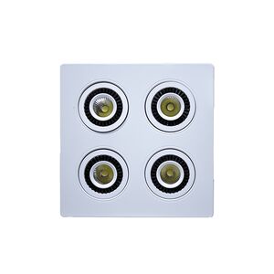 FOCO DOWNLIGHT COB LED 4X5W 6000K-PAN-4