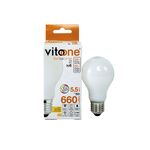 LAMPADA LED DE FILAMENTO A60-2/SOFT/A60/5.5W/SMD/E27  LEDISONE
