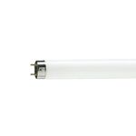 LAMPADA PHILIPS  FLUORECENTE T8 36W 12000 Kelvin TUBULAR