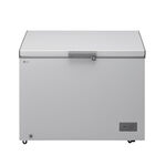 LG ARCA CONGELADORA 247L GCFB251BQCF