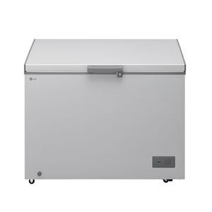 LG ARCA CONGELADORA 247L GCFB251BQCF