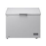 LG ARCA CONGELADORA 309L GCFB316BQCF