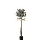 Planta em Vaso de Cimento+PE ferro 160cm-Avida