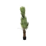 Planta em Vaso de Cimento+PE ferro+180cm-Avida