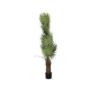 Planta em Vaso de Cimento+PE ferro+180cm-Avida