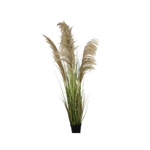 Planta em Vaso de Cimento+PE ferro+180cm-Avida