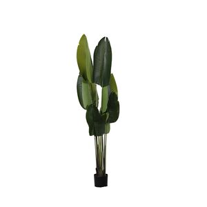 Planta em Vaso de Cimento+PE ferro+200cm-Avida