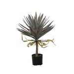 Planta em Vaso de Cimento+PE ferro+75cm-Avida