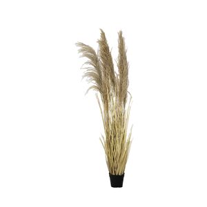 Planta em Vaso de Cimento pvc+ferro 110cm-Avida