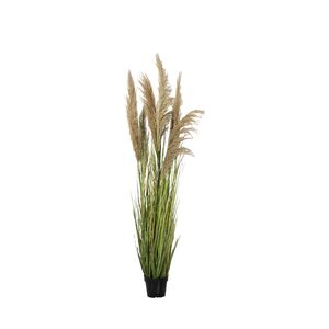 Planta em Vaso de Cimento pvc+ferro 150cm-Avida