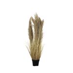 Planta em Vaso de Cimento pvc+ferro 172cm-Avida