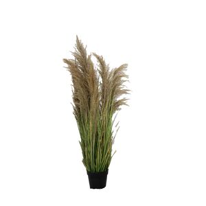 Planta em Vaso de Cimento pvc+ferro110cm-Avida