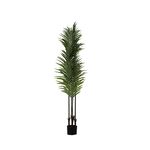 Planta em Vaso de Cimento pvc+PE ferro+160cm-Avida