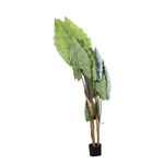 Planta em Vaso de +PE ferro+cimento 160cm-Avida