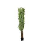 Planta em Vaso de +PE ferro+cimento 210cm-Avida