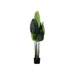 Planta em Vaso de Seda PE+ferro+cimento 160cm-Avida