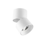 Spot de teto ajustável 10W 3EM1 Branco LAZY-10