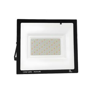 Holofote RGB  100w