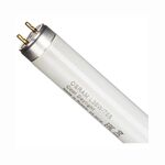 Lâmpada Fluorescente de L36w/765