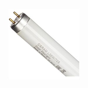 Lâmpada Fluorescente de L36w/765