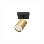 spotlight Dourado