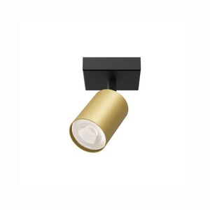 spotlight Dourado