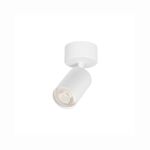 Spotligth Branco