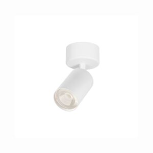 Spotligth Branco