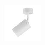 Spotligth Branco