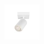 Spotligth Branco