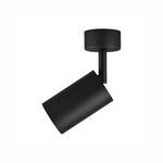 Spotligth Preto