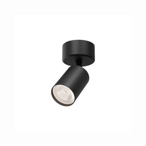 Spotligth Preto