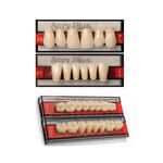 Dentes Acrílicos Acry Plus