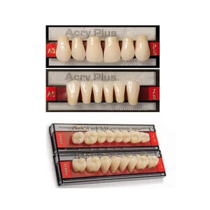Dentes Acrílicos Acry Plus