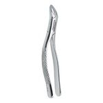 FORCEPS Nº 62 ADULTO GOLGRAN