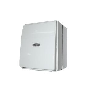 Botão Basculante Luminoso Branco 250V Ref. 48152 Branco