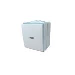 Botão Basculante Luminoso Cinza Estanque 250V Ref. 48152  CZZ